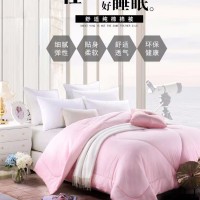 國欣雙人春秋被3斤棉花